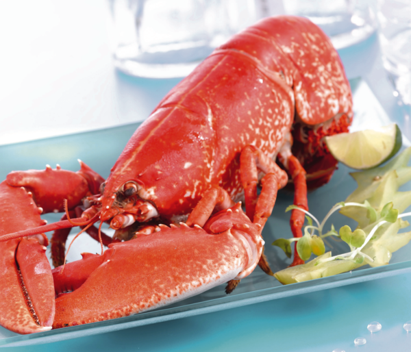 Homard Européen Cuit Coupé