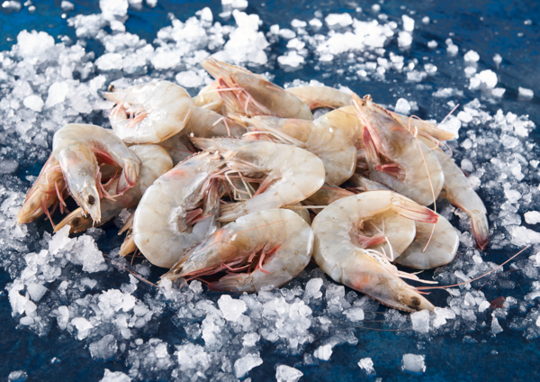 Crevettes Entières Crues Décongelées