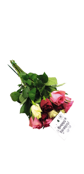 Bouquet De 10 Roses + Pic "Bonnes Vacances"
