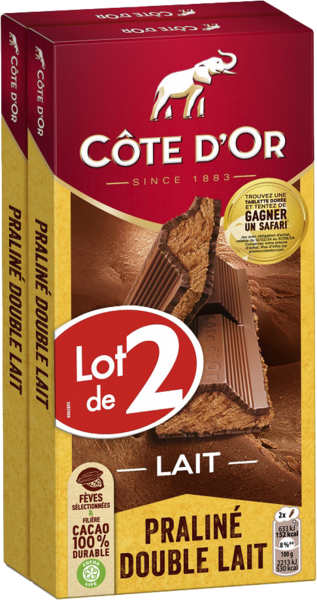 Tablettes Lait Praliné Côte D'or