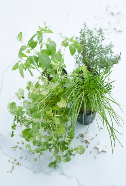 Herbes En Pot Bio Auchan L'apéro, ça n'a pas de prix. Ou un tout petit.