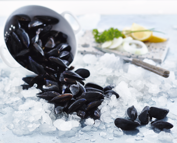 Moules De Bouchot Spécialité Traditionnelle Garantie