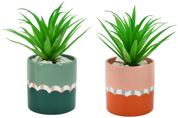 1- Plante Artificielle Succulente Actuel 