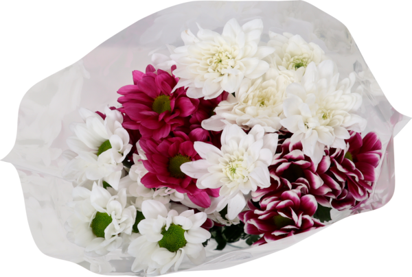 Bouquet De 4 Bonys Arlequin