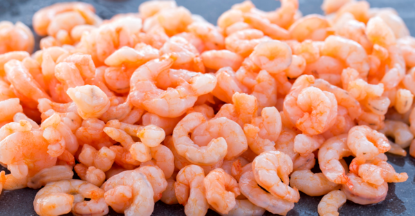 Crevettes Décortiquées Cuites Réfrigérées