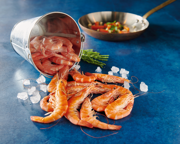 Crevettes Entières Cuites Réfrigérées