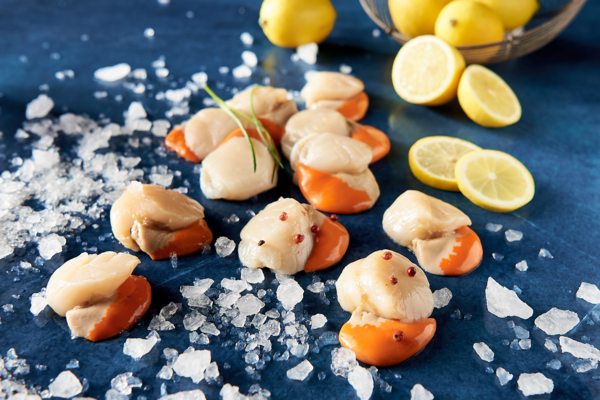 Noix De Saint-Jacques